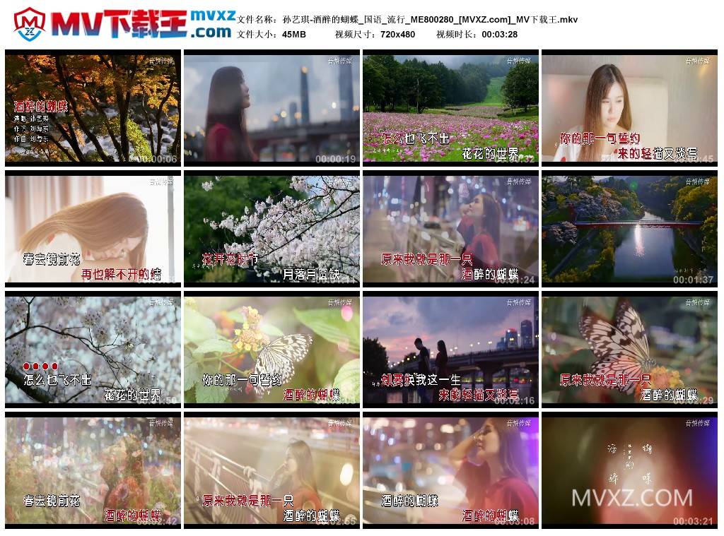 孙艺琪-酒醉的蝴蝶_国语_流行_ME800280